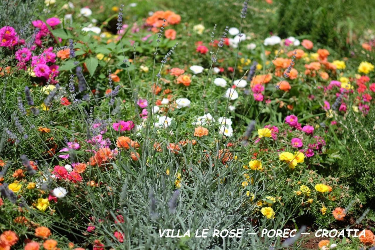 פורץ Luxury Villa Le Rose מראה חיצוני תמונה